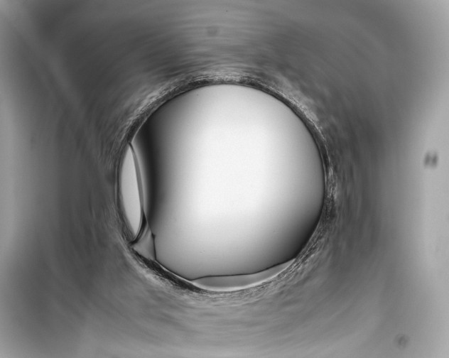 X0000099310013200805161424