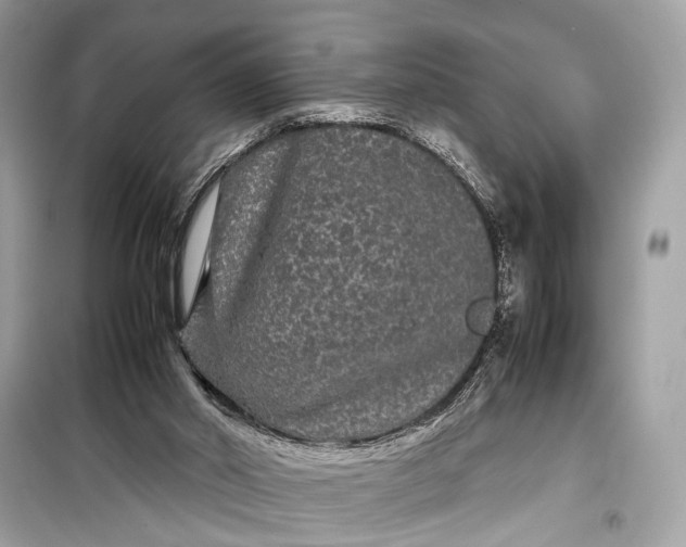 X0000099310014200805161424