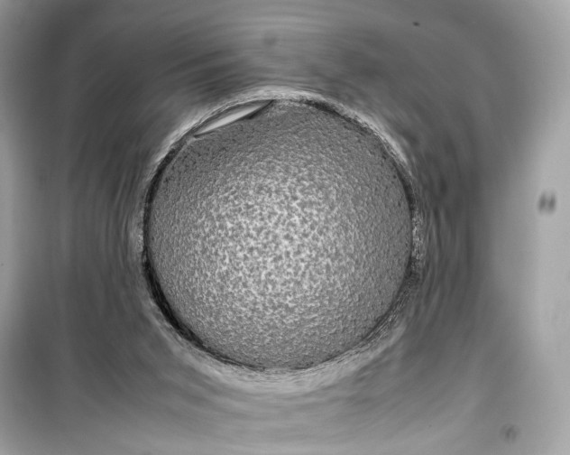 X0000099310015200805161424