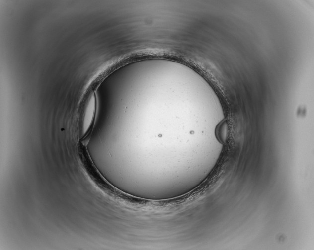 X0000099310016200805161424