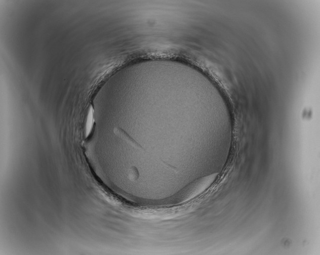 X0000099310017200805161424