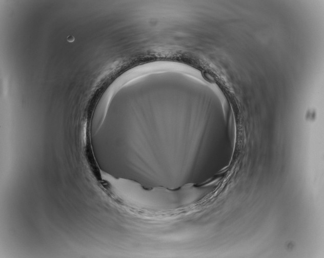 X0000099310019200805161424