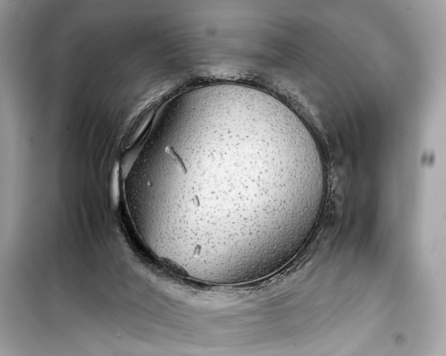 X0000099310020200805161424