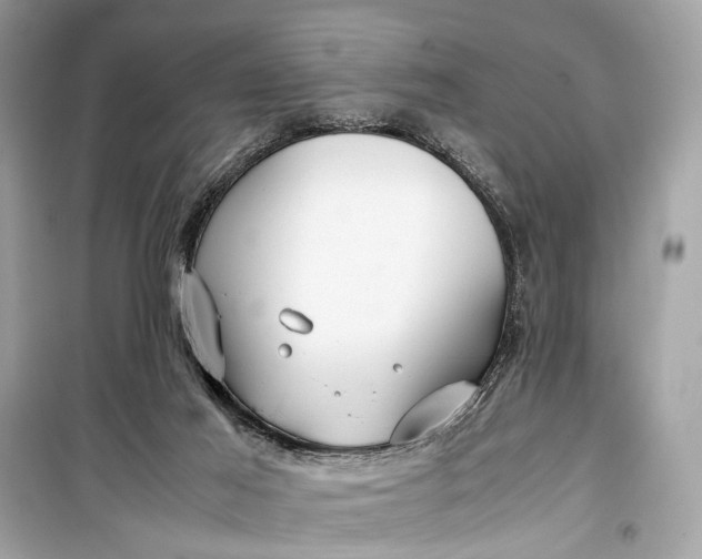 X0000099310021200805161424