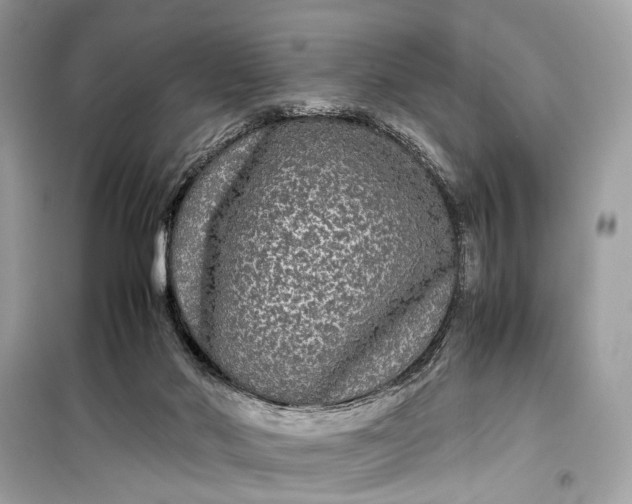 X0000099310022200805161424