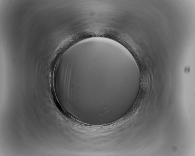 X0000099310023200805161424