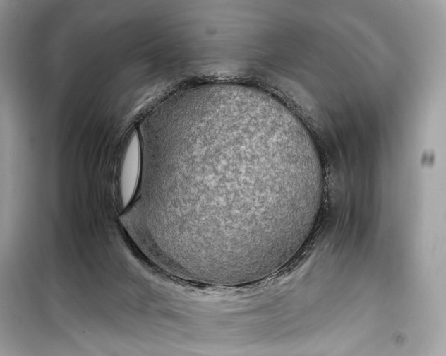 X0000099310024200805161424