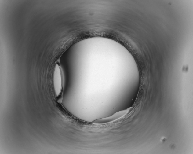 X0000099310025200805161423