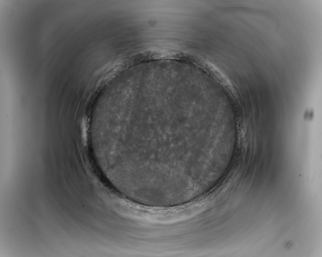 X0000099310026200805161423