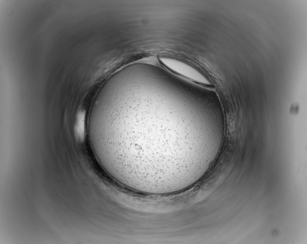 X0000099310028200805161423