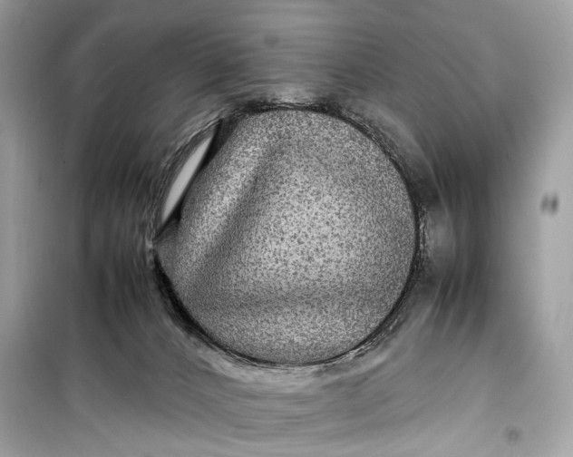 X0000099310032200805161423