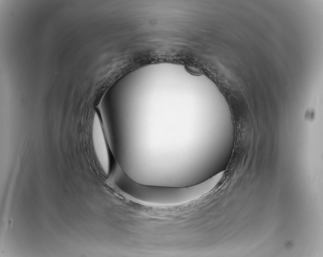 X0000099310033200805161423