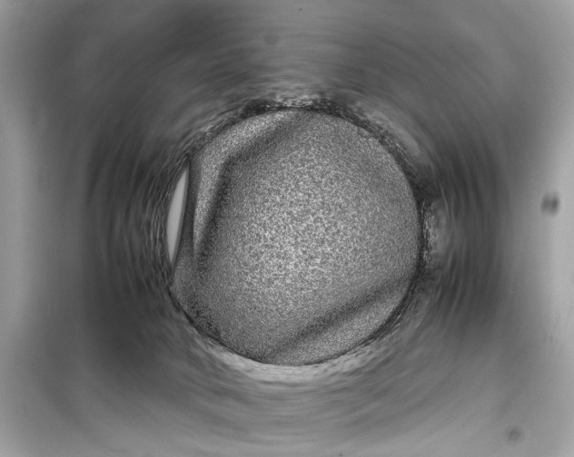 X0000099310034200805161423