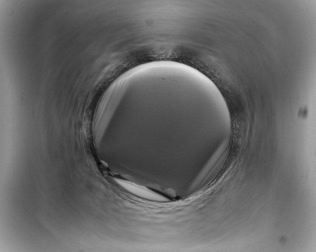 X0000099310035200805161423