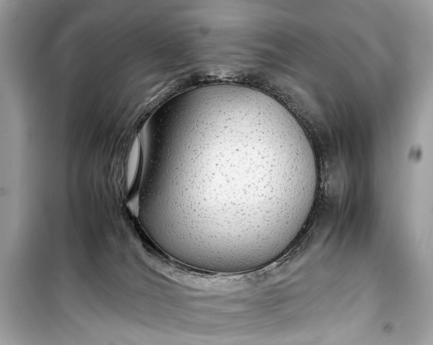 X0000099310036200805161423