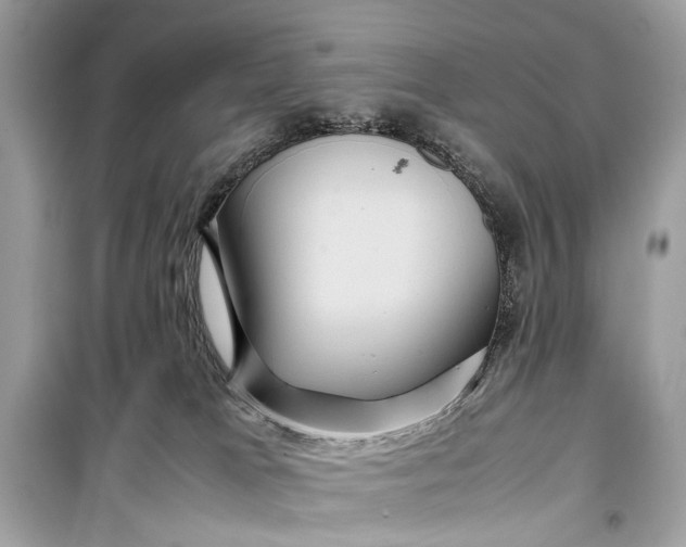 X0000099310037200805161423