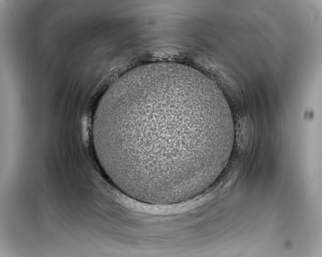 X0000099310038200805161423