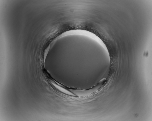 X0000099310039200805161423