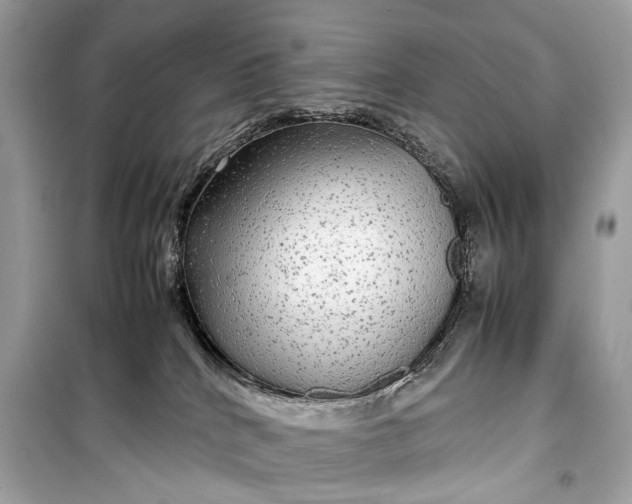 X0000099310040200805161423