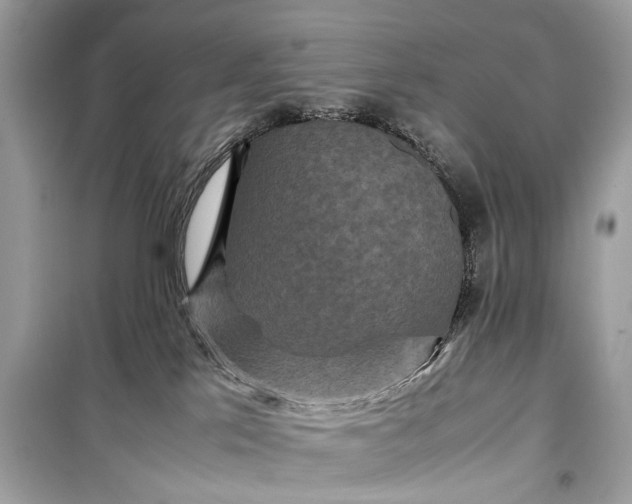 X0000099310041200805161423