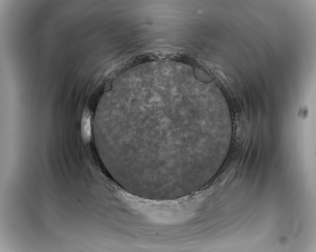 X0000099310042200805161423