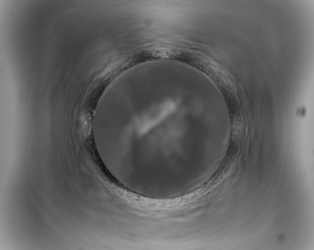 X0000099310043200805161423