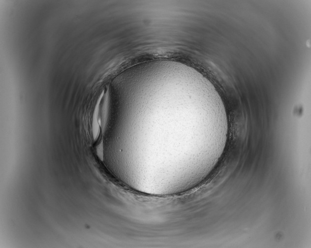 X0000099310044200805161423