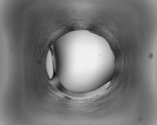 X0000099310045200805161423