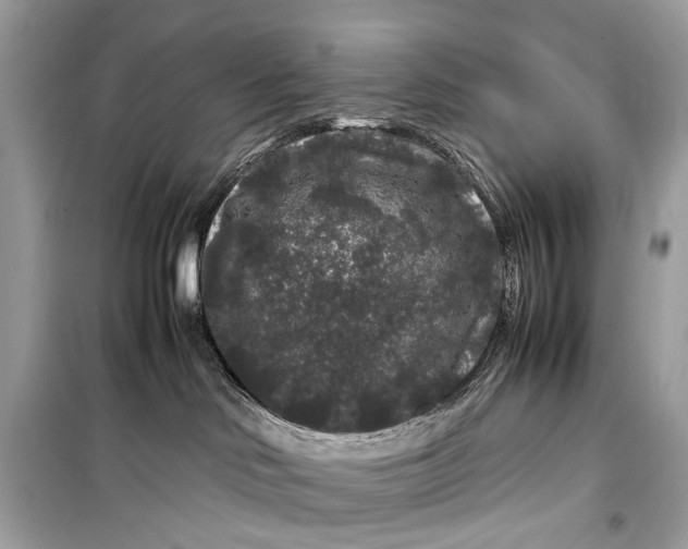 X0000099310046200805161423