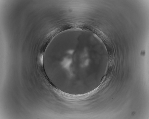 X0000099310047200805161423