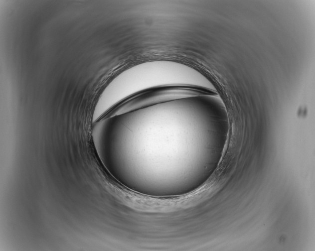 X0000099310048200805161423