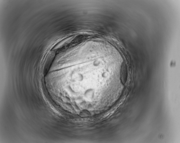 X0000099310049200805161422