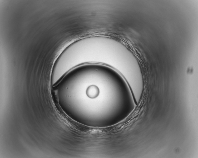 X0000099310052200805161422