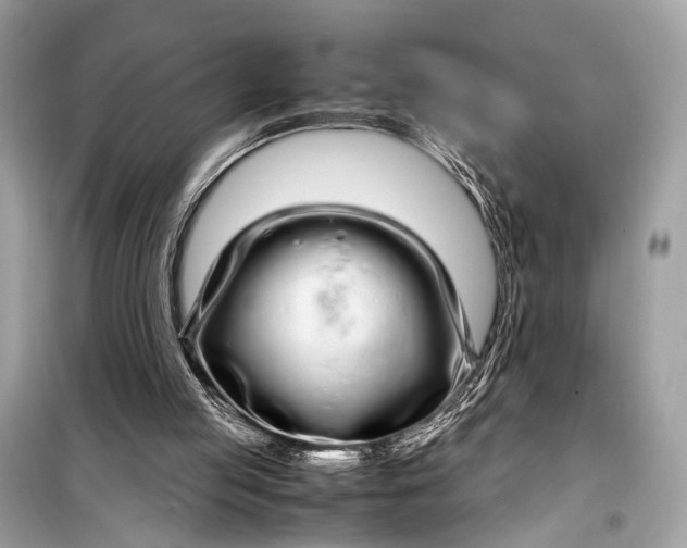 X0000099310053200805161422