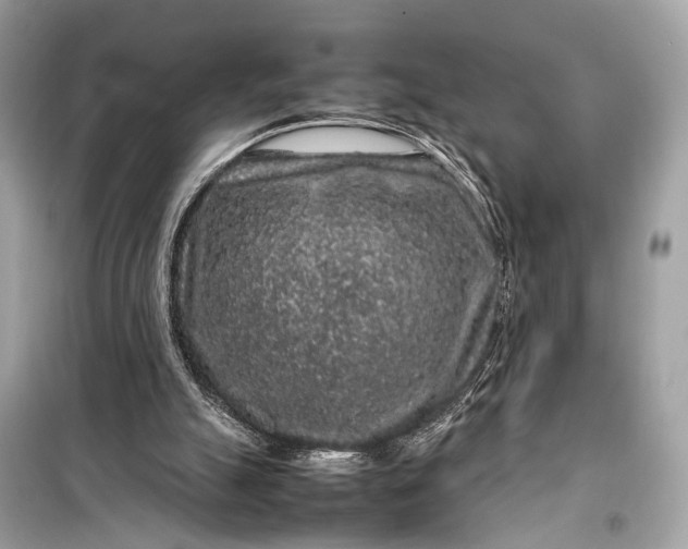 X0000099310055200805161422