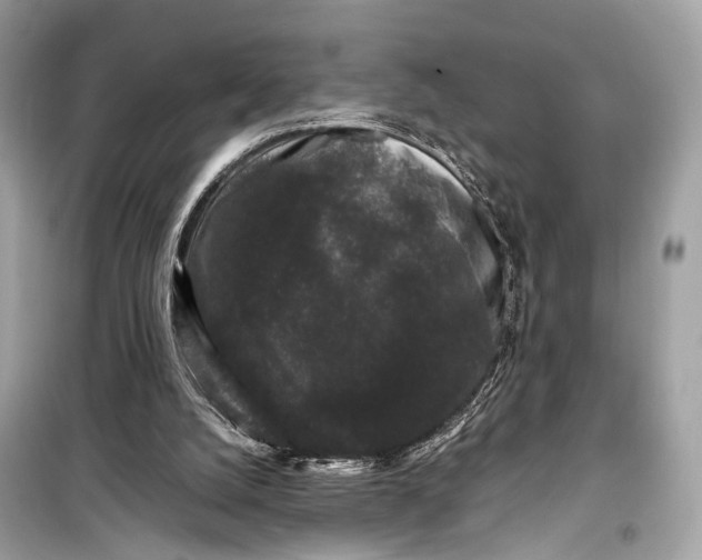 X0000099310056200805161422