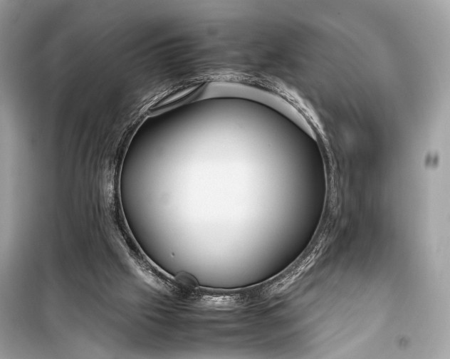 X0000099310057200805161422