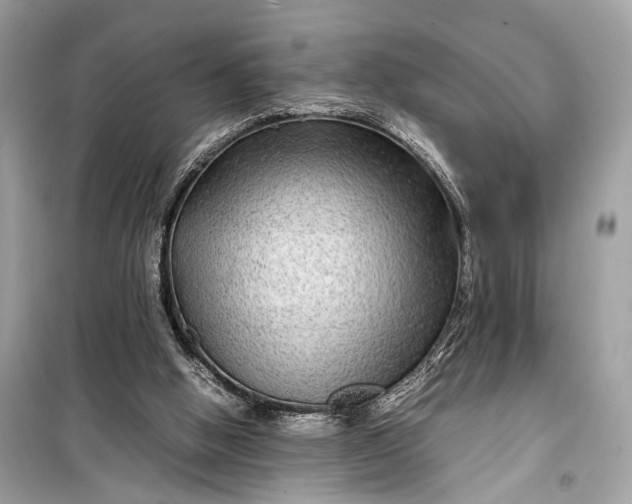 X0000099310058200805161422