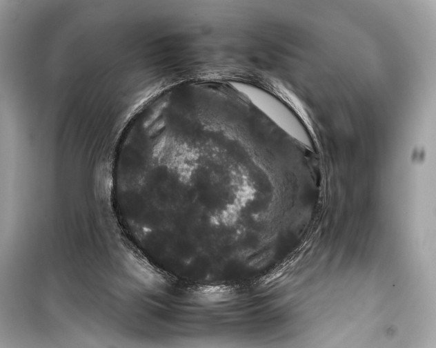 X0000099310059200805161423