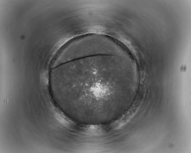 X0000099310060200805161423