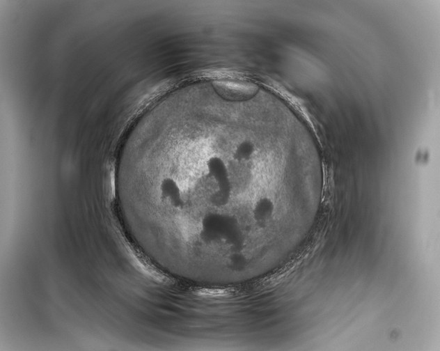 X0000099310061200805161423