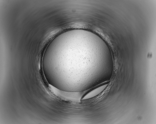 X0000099310062200805161423