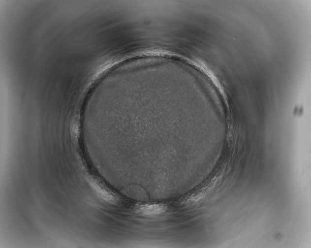 X0000099310063200805161423