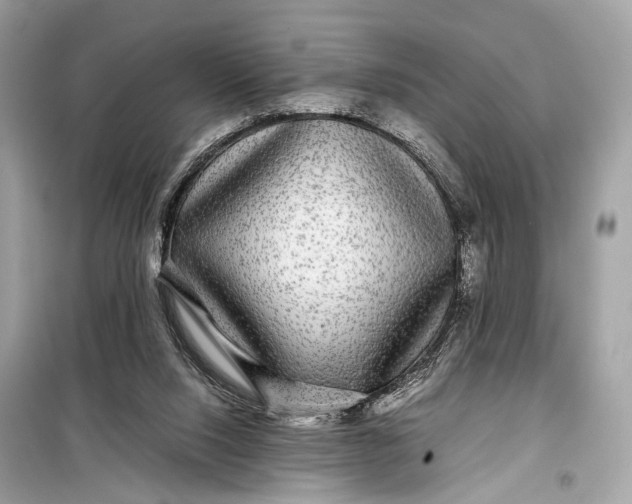 X0000099310064200805161423