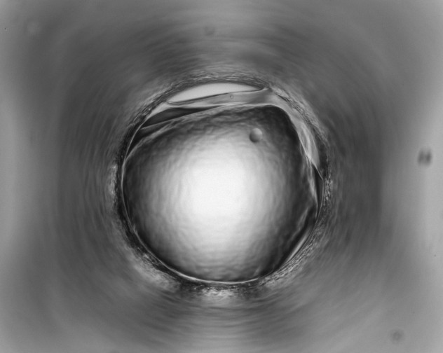 X0000099310066200805161423