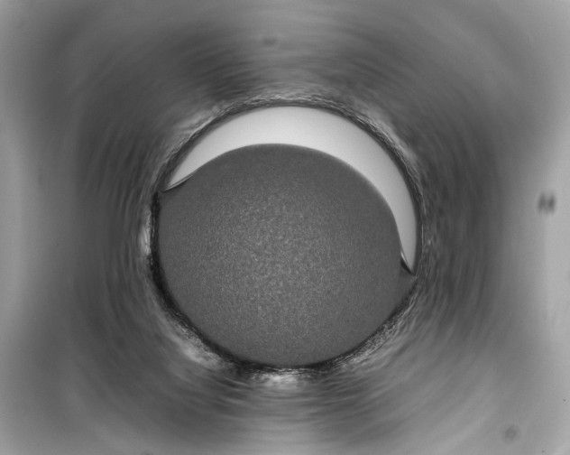 X0000099310068200805161423