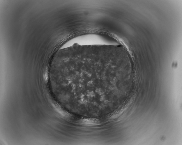 X0000099310069200805161423