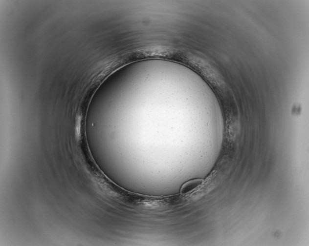 X0000099310070200805161423