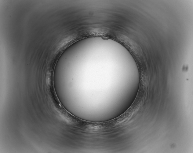 X0000099310071200805161423