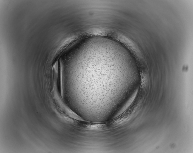 X0000099310072200805161423